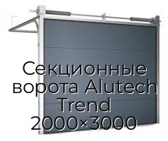 Секционные ворота Alutech Trend 2000×3000