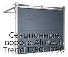 Секционные ворота Alutech Trend 1750×1750