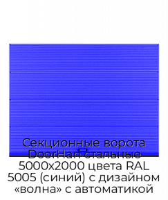 Секционные ворота DoorHan стальные 5000х2000 цвета RAL 5005 (синий) с дизайном «волна» с автоматикой