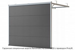 Гаражные секционные ворота RenoMatic 42 2500х2250 с приводом ProLift preview 1