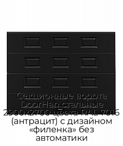Секционные ворота DoorHan стальные 2900х2700 цвета RAL 7016 (антрацит) с дизайном «филенка» без автоматики preview 1
