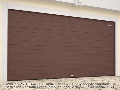 Гаражные секционные ворота стандартных размеров из стальных сэндвич-панелей с пружинами растяжения DoorHan RSD01BIW-SC 1