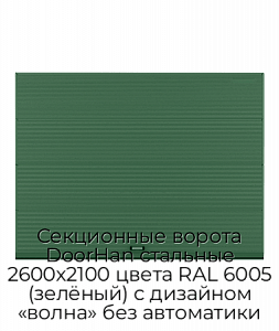 Секционные ворота DoorHan стальные 2600х2100 цвета RAL 6005 (зелёный) с дизайном «волна» без автоматики preview 1