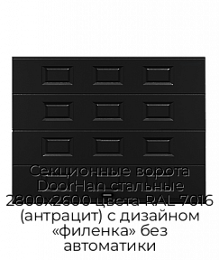 Секционные ворота DoorHan стальные 2800х2600 цвета RAL 7016 (антрацит) с дизайном «филенка» без автоматики