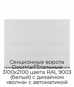 Секционные ворота DoorHan стальные 3100х2100 цвета RAL 9003 (белый) с дизайном «волна» с автоматикой preview 1