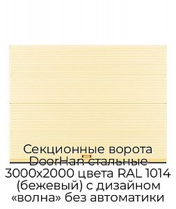 Секционные ворота DoorHan стальные 3000х2000 цвета RAL 1014 (бежевый) с дизайном «волна» без автоматики preview 1