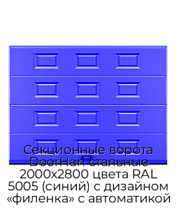 Секционные ворота DoorHan стальные 2000х2800 цвета RAL 5005 (синий) с дизайном «филенка» с автоматикой preview 1