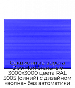 Секционные ворота DoorHan стальные 3000х3000 цвета RAL 5005 (синий) с дизайном «волна» без автоматики