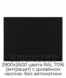 Секционные ворота DoorHan стальные 2900х2600 цвета RAL 7016 (антрацит) с дизайном «волна» без автоматики preview 1