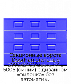 Секционные ворота DoorHan стальные 2000х2400 цвета RAL 5005 (синий) с дизайном «филенка» без автоматики