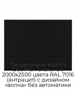 Секционные ворота DoorHan стальные 2000х2500 цвета RAL 7016 (антрацит) с дизайном «волна» без автоматики