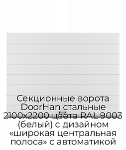 Секционные ворота DoorHan стальные 2100х2200 цвета RAL 9003 (белый) с дизайном «широкая центральная полоса» с автоматикой preview 1