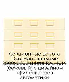 Секционные ворота DoorHan стальные 2500х2600 цвета RAL 1014 (бежевый) с дизайном «филенка» без автоматики
