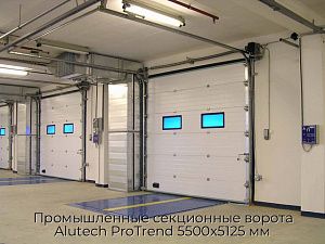 Промышленные секционные ворота Alutech ProTrend 5500х5125 мм preview 1