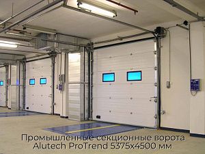 Промышленные секционные ворота Alutech ProTrend 5375х4500 мм preview 1