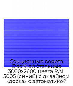Секционные ворота DoorHan стальные 3000х2600 цвета RAL 5005 (синий) с дизайном «доска» с автоматикой