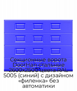 Секционные ворота DoorHan стальные 2600х2500 цвета RAL 5005 (синий) с дизайном «филенка» без автоматики preview 1