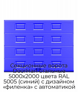 Секционные ворота DoorHan стальные 5000х2000 цвета RAL 5005 (синий) с дизайном «филенка» с автоматикой preview 1