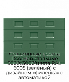 Секционные ворота DoorHan стальные 3000х3000 цвета RAL 6005 (зелёный) с дизайном «филенка» с автоматикой