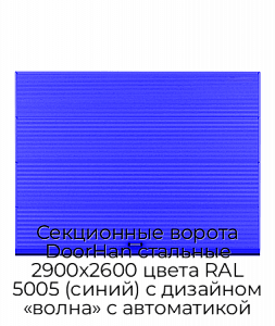 Секционные ворота DoorHan стальные 2900х2600 цвета RAL 5005 (синий) с дизайном «волна» с автоматикой preview 1