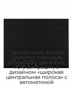 Секционные ворота DoorHan стальные 2600х3000 цвета RAL 7016 (антрацит) с дизайном «широкая центральная полоса» с автоматикой preview 1