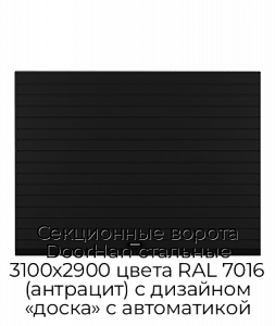 Секционные ворота DoorHan стальные 3100х2900 цвета RAL 7016 (антрацит) с дизайном «доска» с автоматикой preview 1