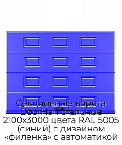 Секционные ворота DoorHan стальные 2100х3000 цвета RAL 5005 (синий) с дизайном «филенка» с автоматикой preview 1