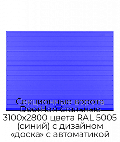 Секционные ворота DoorHan стальные 3100х2800 цвета RAL 5005 (синий) с дизайном «доска» с автоматикой