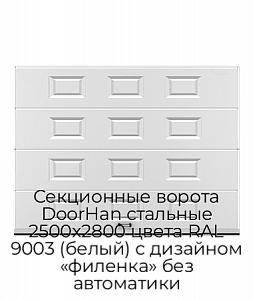 Секционные ворота DoorHan стальные 2500х2800 цвета RAL 9003 (белый) с дизайном «филенка» без автоматики preview 1
