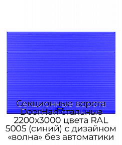 Секционные ворота DoorHan стальные 2200х3000 цвета RAL 5005 (синий) с дизайном «волна» без автоматики