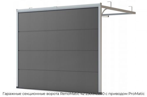 Гаражные секционные ворота RenoMatic 42 2500х2250 с приводом ProMatic 1