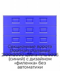 Секционные ворота DoorHan стальные 2100х3000 цвета RAL 5005 (синий) с дизайном «филенка» без автоматики