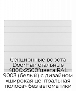 Секционные ворота DoorHan стальные 4800х2500 цвета RAL 9003 (белый) с дизайном «широкая центральная полоса» без автоматики preview 1