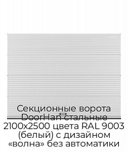 Секционные ворота DoorHan стальные 2100х2500 цвета RAL 9003 (белый) с дизайном «волна» без автоматики preview 1