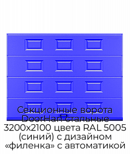 Секционные ворота DoorHan стальные 3200х2100 цвета RAL 5005 (синий) с дизайном «филенка» с автоматикой preview 1