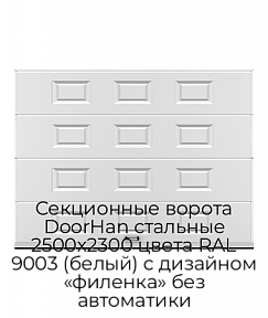 Секционные ворота DoorHan стальные 2500х2300 цвета RAL 9003 (белый) с дизайном «филенка» без автоматики