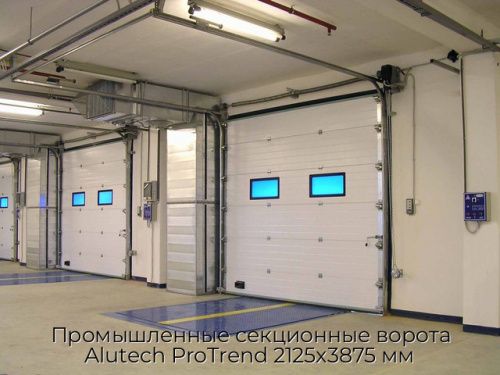 Промышленные секционные ворота Alutech ProTrend 2125х3875 мм 1