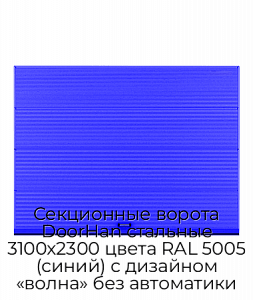 Секционные ворота DoorHan стальные 3100х2300 цвета RAL 5005 (синий) с дизайном «волна» без автоматики preview 1