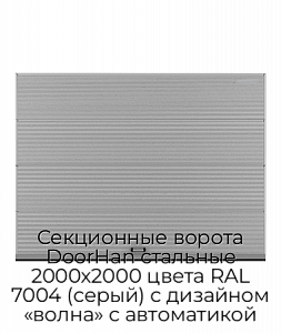 Секционные ворота DoorHan стальные 2000х2000 цвета RAL 7004 (серый) с дизайном «волна» с автоматикой preview 1