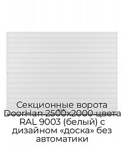 Секционные ворота DoorHan 2500х2000 цвета RAL 9003 (белый) с дизайном «доска» без автоматики preview 1