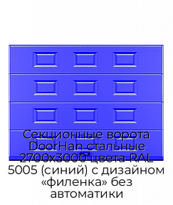 Секционные ворота DoorHan стальные 2700х3000 цвета RAL 5005 (синий) с дизайном «филенка» без автоматики