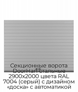 Секционные ворота DoorHan стальные 2900х2000 цвета RAL 7004 (серый) с дизайном «доска» с автоматикой preview 1