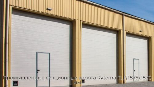 Промышленные секционные ворота Ryterna TLP 1875х1875 мм 1