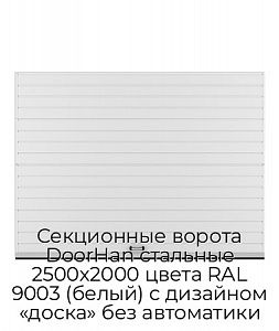 Секционные ворота DoorHan стальные 2500х2000 цвета RAL 9003 (белый) с дизайном «доска» без автоматики preview 1