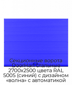 Секционные ворота DoorHan стальные 2700х2500 цвета RAL 5005 (синий) с дизайном «волна» с автоматикой