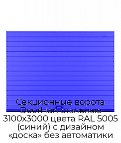 Секционные ворота DoorHan стальные 3100х3000 цвета RAL 5005 (синий) с дизайном «доска» без автоматики