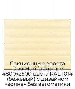 Секционные ворота DoorHan стальные 4800х2500 цвета RAL 1014 (бежевый) с дизайном «волна» без автоматики preview 1