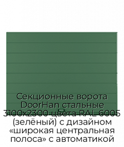 Секционные ворота DoorHan стальные 3100х2300 цвета RAL 6005 (зелёный) с дизайном «широкая центральная полоса» с автоматикой