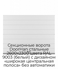 Секционные ворота DoorHan стальные 2600х2300 цвета RAL 9003 (белый) с дизайном «широкая центральная полоса» без автоматики