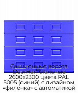 Секционные ворота DoorHan стальные 2600х2300 цвета RAL 5005 (синий) с дизайном «филенка» с автоматикой preview 1